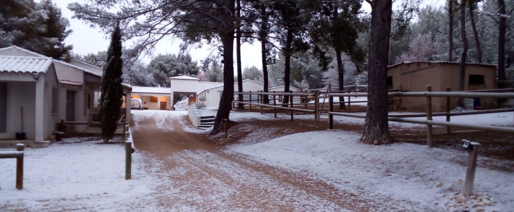 La clinique équine de provence à saint cannat sous la neige