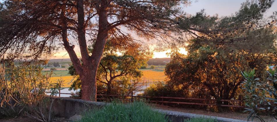 Un coucher de soleil sur la clinique equine