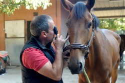 Un de nos vétérinaire spécialiste équin en train d'éxaminer un cheval au haras de la Trevaresse à Saint Cannat